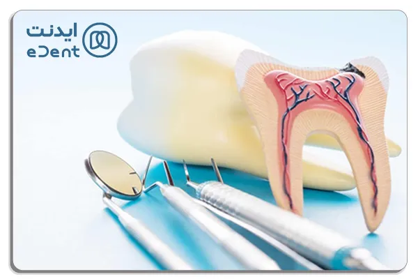 مواد و تجهیزات لازم برای تمیزکاری و ضدعفونی